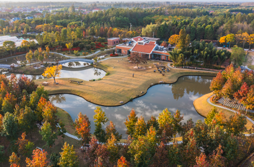 上海市崇明区人民政府