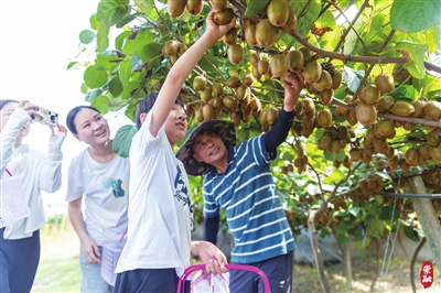 20240910085318070853.jpg 20240910085318070853.jpg