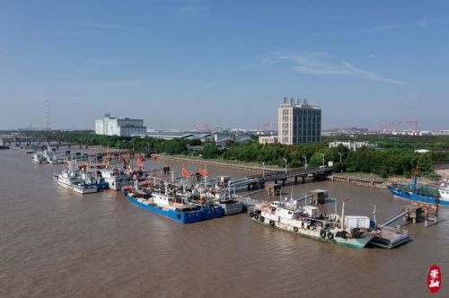 20240806161706084072.jpg 梭子蟹、竹节虾、方板鱼……今年第一网东海海鲜登陆崇明10.jpg