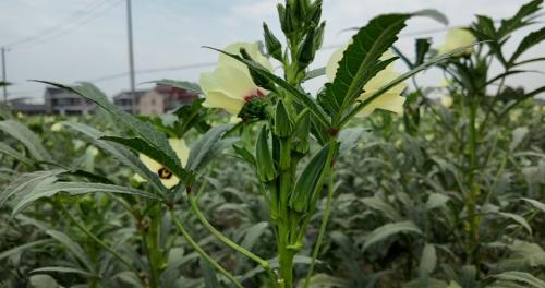 20240930092721065180.jpg 图片10.jpg