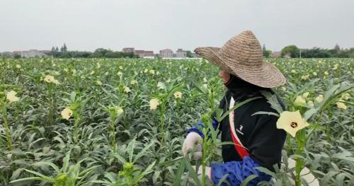 20240930092709067059.jpg 图片9.jpg