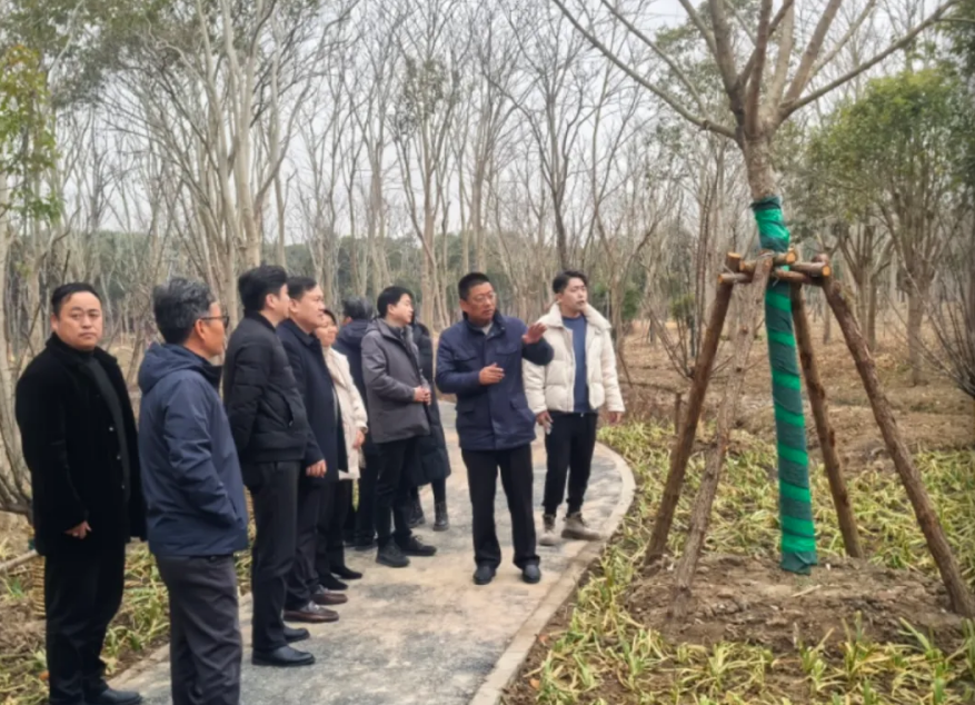 screen_shot_1739769790154.png screen_shot_1739769790154.png