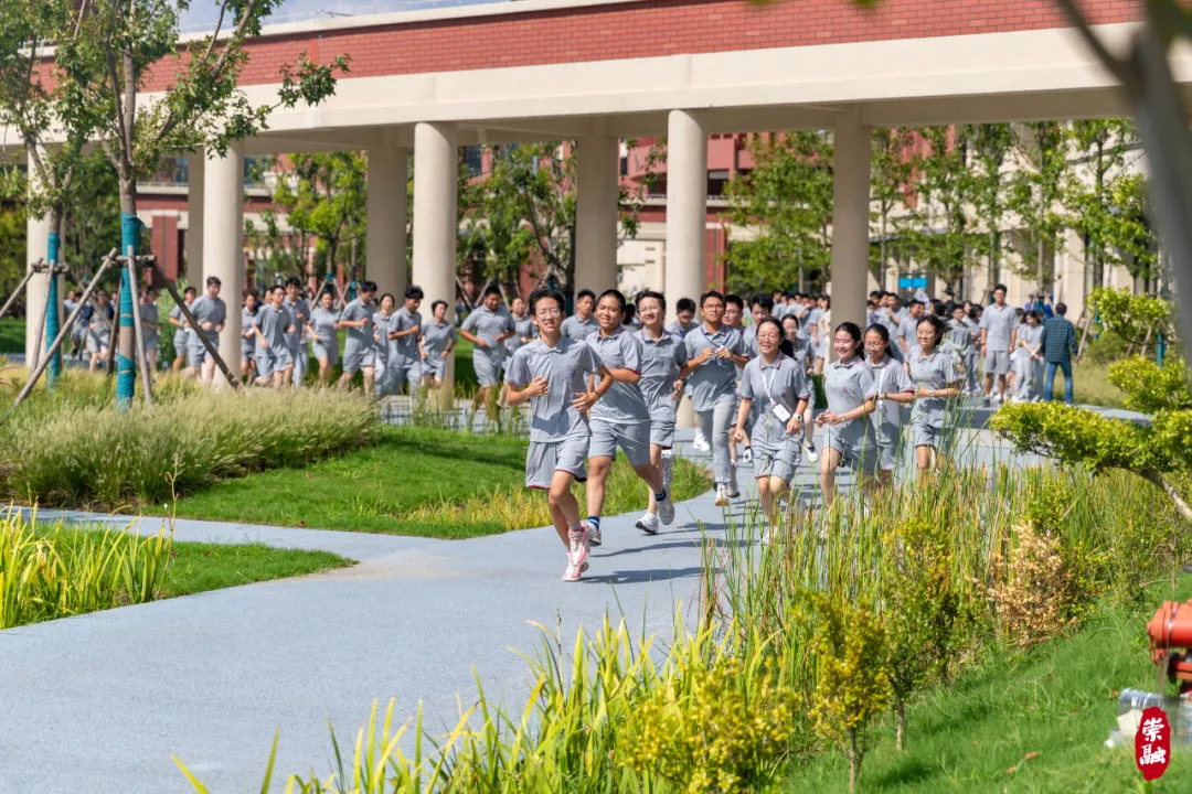 20240911092603036534.jpg 20240911092603036534.jpg