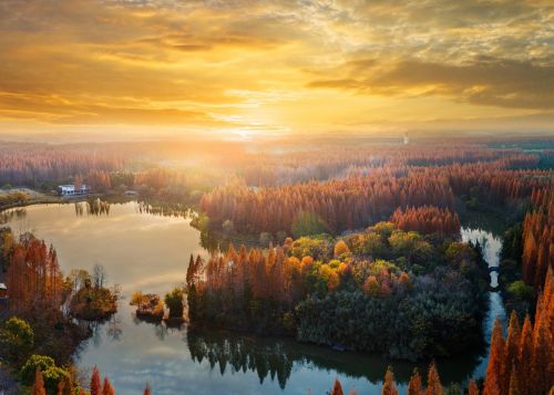 20231207152850012930.jpg 一张蓝图绘到底,高标准推进世界级生态岛建设!习近平总书记考察上海重要讲话引发崇明广大干部群众热烈反响1.jpg