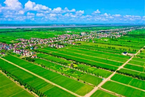 20231207152945069226.jpg 一张蓝图绘到底,高标准推进世界级生态岛建设!习近平总书记考察上海重要讲话引发崇明广大干部群众热烈反响6.jpg