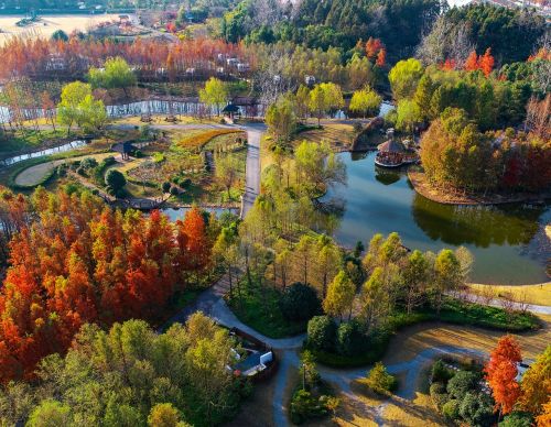 20231207152913071976.jpg 一张蓝图绘到底,高标准推进世界级生态岛建设!习近平总书记考察上海重要讲话引发崇明广大干部群众热烈反响3.jpg