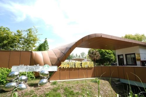 20240807104106002299.jpg 绘就乡村振兴新图景——横沙乡创新思路,发展特色产业2.jpg