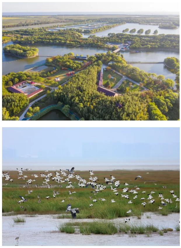 截图_选择区域_20261028102816.jpg 截图_选择区域_20261028102816.jpg