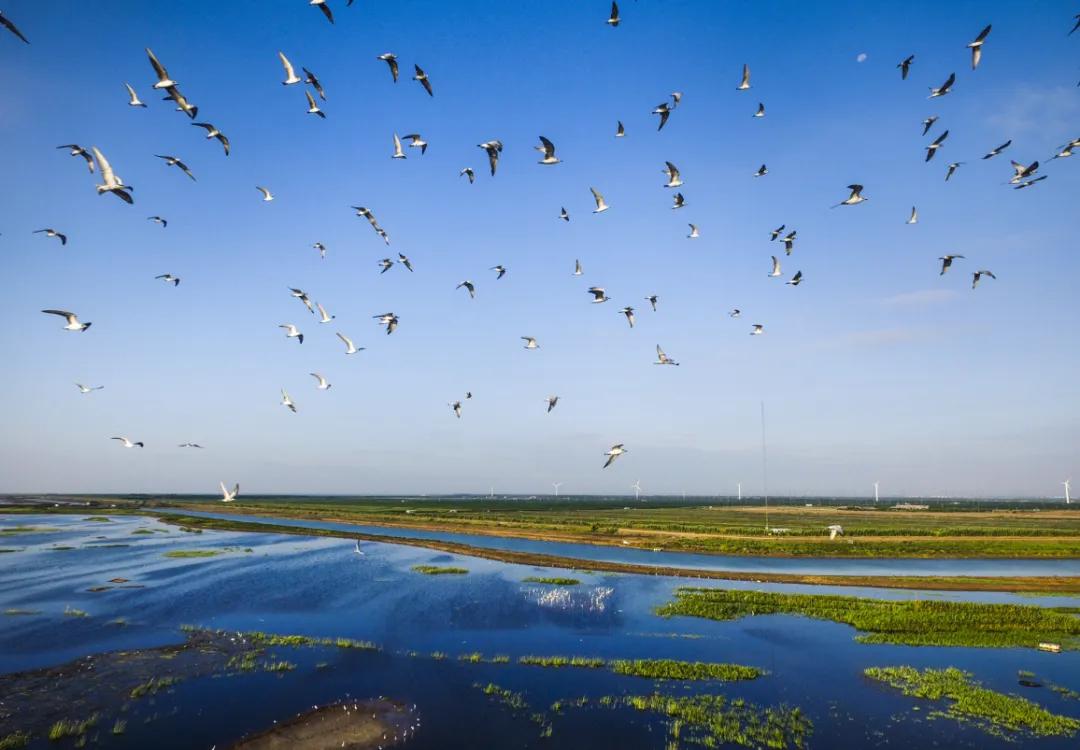 20241008151306053036.jpg 20241008151306053036.jpg