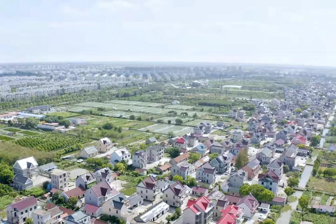 20241008151019092505.jpg 20241008151019092505.jpg