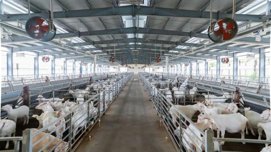 20241008151121078168.jpg 20241008151121078168.jpg