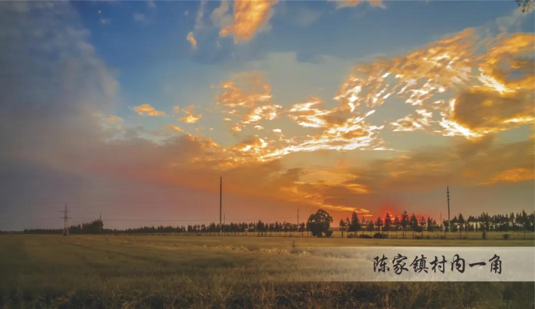 20241008151325056861.jpg 20241008151325056861.jpg