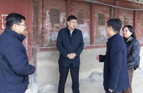 20231218094355003278.jpg 因地制宜推动项目实施,打造“五好两宜”和美乡村建设崇明样板!李峻赴竖新镇开展“四百”大走访活动1.jpg