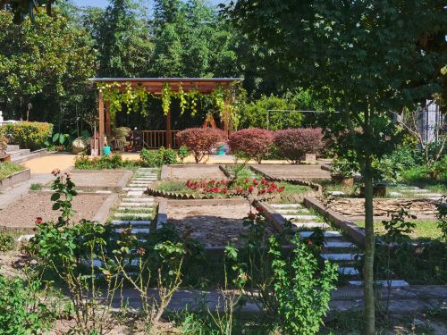 20240708170829068673.jpg 村庄有“颜值” 村民有“产值”——中兴镇爱国村的乡村振兴之路2.jpg