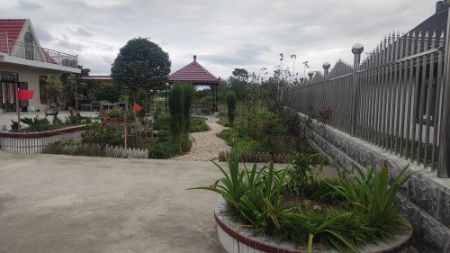 20240708170839027395.jpg 村庄有“颜值” 村民有“产值”——中兴镇爱国村的乡村振兴之路3.jpg