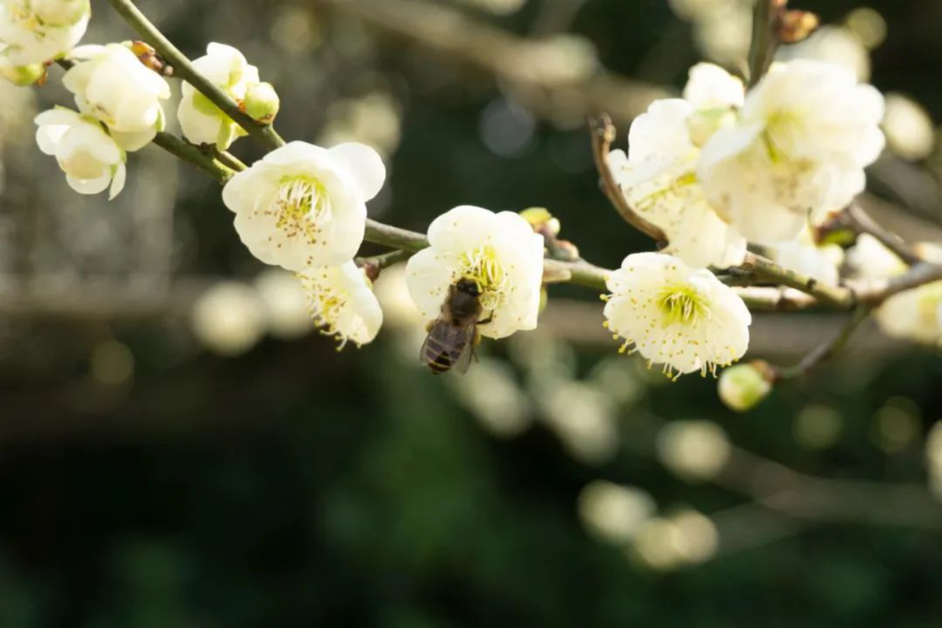 走356.png 走356.png