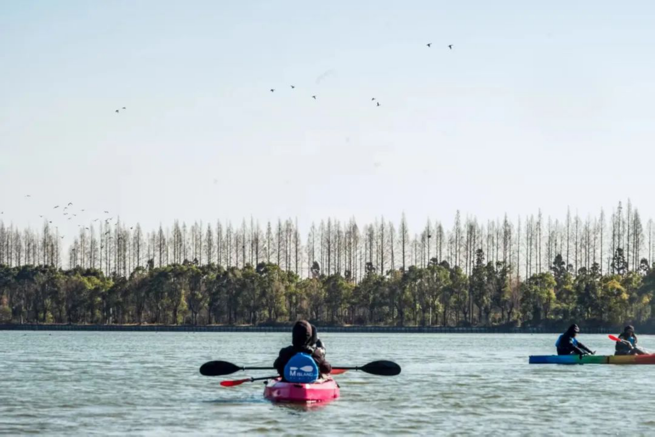 走1033.png 走1033.png