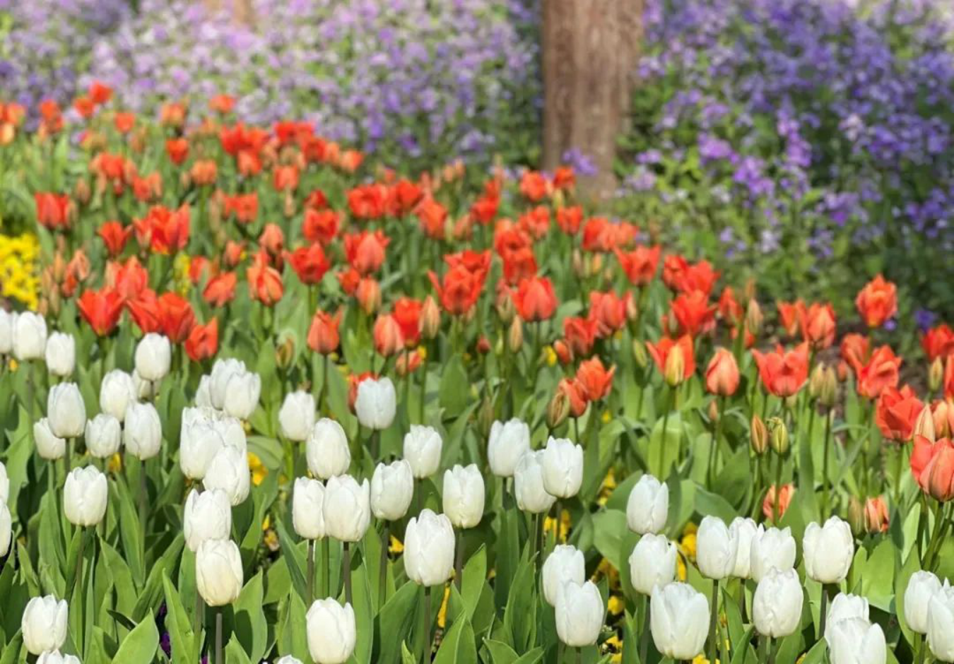 走369.png 走369.png