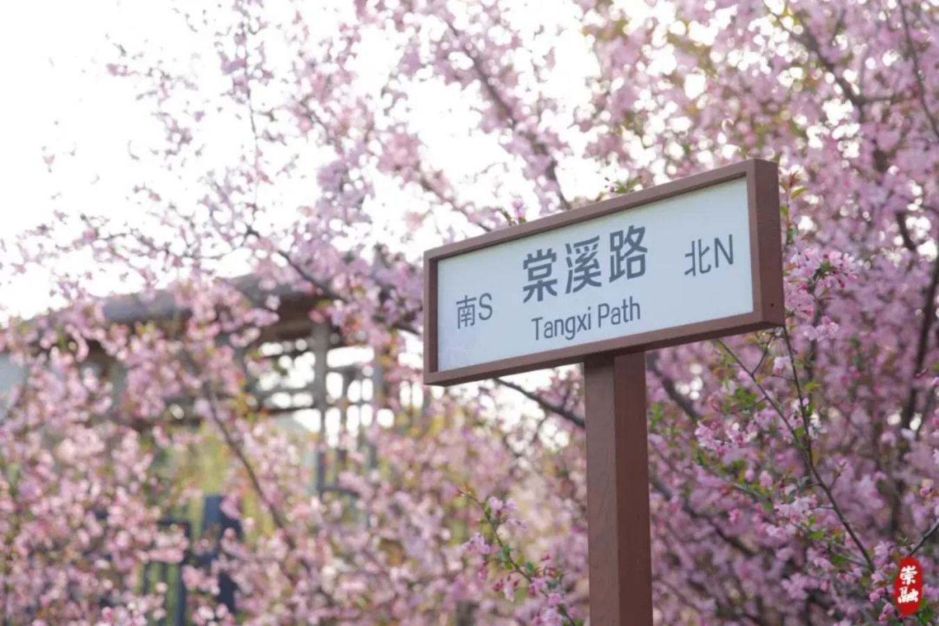 走381.png 走381.png