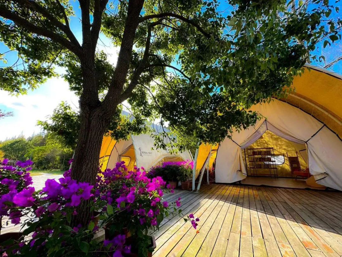 走722.png 走722.png