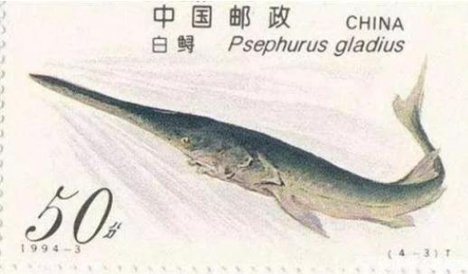 20220905151857061149.jpg 图片3.jpg