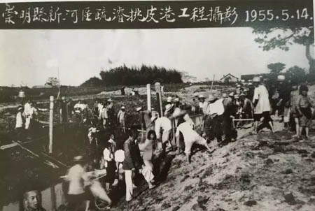 1955年崇明信合疏浚挑皮港工程.jpg