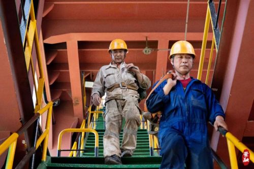 20230824163229042511.jpg 崇明这里,竟然藏了个“亚洲最大”!8.jpg