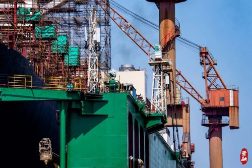 20230824163200078439.jpg 崇明这里,竟然藏了个“亚洲最大”!6.jpg