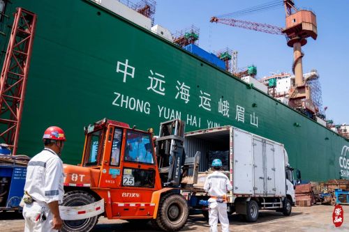 20230824163103093834.jpg 崇明这里,竟然藏了个“亚洲最大”!2.jpg