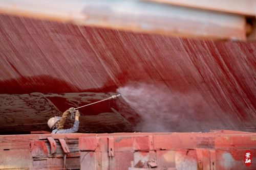 20230824163310056719.jpg 崇明这里,竟然藏了个“亚洲最大”!10.jpg