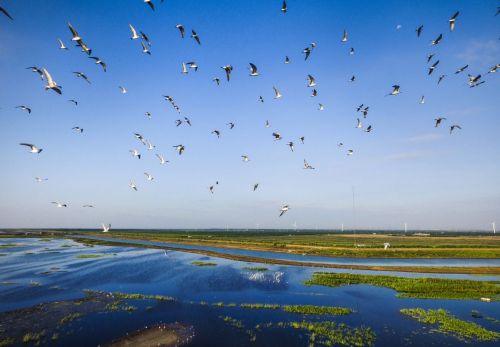 20240813112213027380.jpg 打造人与自然和谐共生样板1.jpg