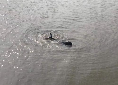 20240813112224047571.jpg 打造人与自然和谐共生样板2.jpg