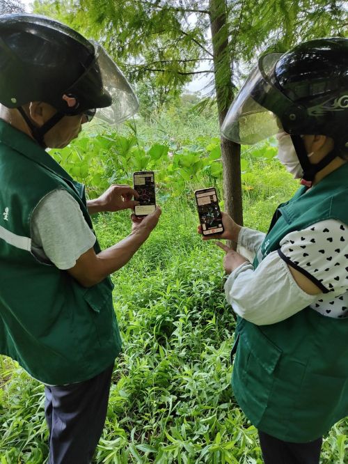 20230927171156050653.jpg 在崇明巡林护林,用上了数字化平台4.jpg