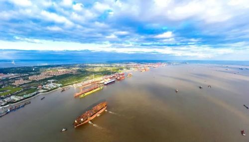 20230726155305019189.jpg 刀鱼越来越多,江豚成了常客!背后的原因是什么? 2.jpg