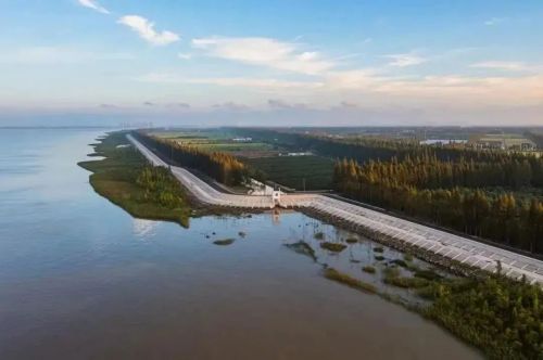 20230726155314086807.jpg 刀鱼越来越多,江豚成了常客!背后的原因是什么? 3.jpg