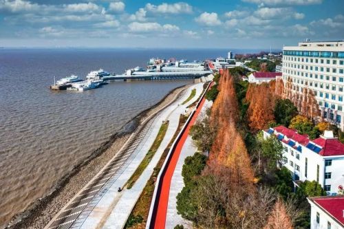 20230726155255036254.jpg 刀鱼越来越多,江豚成了常客!背后的原因是什么? 1.jpg