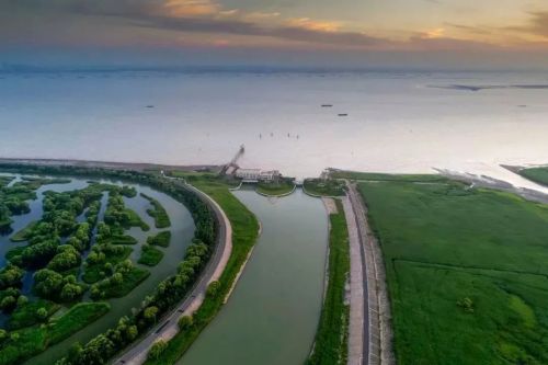 20230726155324002042.jpg 刀鱼越来越多,江豚成了常客!背后的原因是什么? 4.jpg