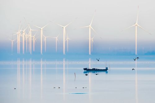 20230726155333012112.jpg 刀鱼越来越多,江豚成了常客!背后的原因是什么? 5.jpg