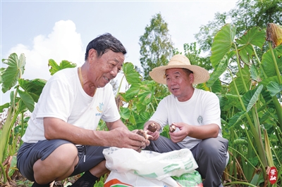 20240912090319020680.jpg 20240912090319020680.jpg