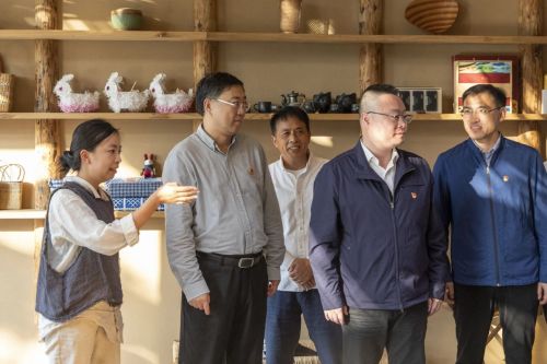 20231017092105029691.jpg 立足崇明优势,打造文旅名片!区领导专题调研本区文旅高质量发展情况3.jpg