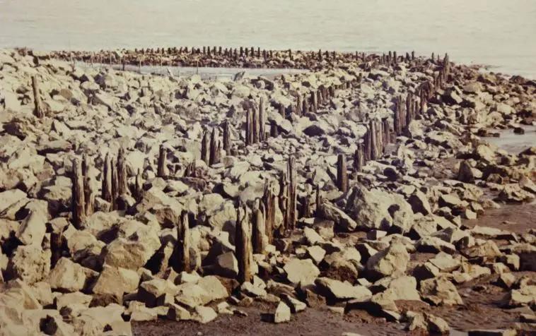 20241008151751057126.jpg 20241008151751057126.jpg