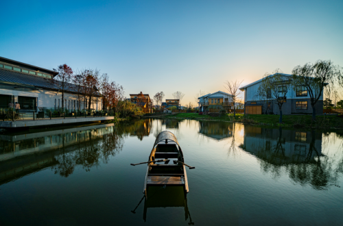 20230811164850080161.png 崇明再上央视,就在今晚!4.png