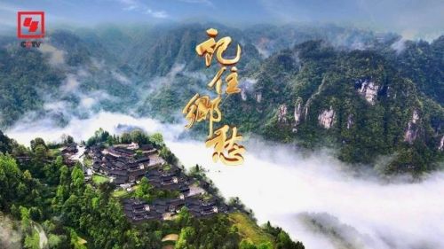 20230811164926091978.jpg 崇明再上央视,就在今晚!7.jpg