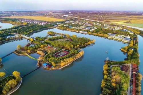 20230811164841070720.jpg 崇明再上央视,就在今晚!3.jpg