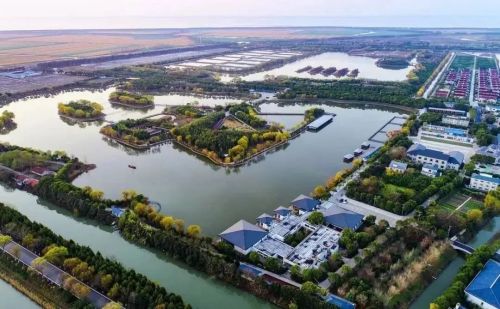 20230811164833035836.jpg 崇明再上央视,就在今晚!2.jpg