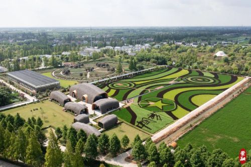 20230918141729082519.jpg 在稻田里品咖啡,崇明多了个休闲好去处!1.jpg