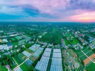 微信图片_20250213150633.jpg 微信图片_20250213150633.jpg