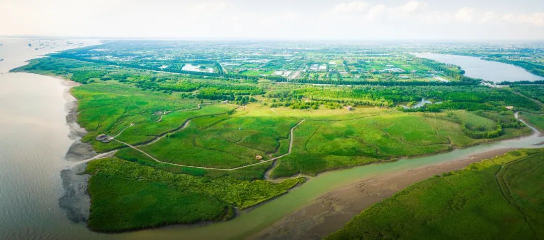 十年，崇明交出高质量答卷