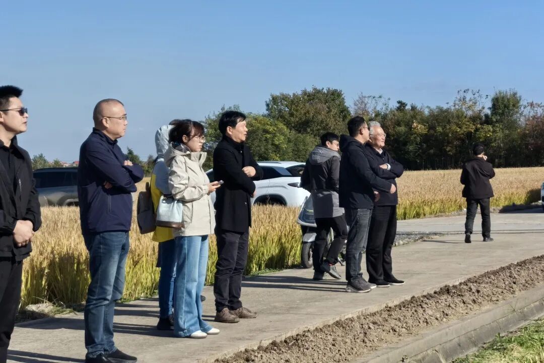 科技赋能良田 智绘农耕新篇—— 崇明区万亩粮食生产智慧农场建设完美收官