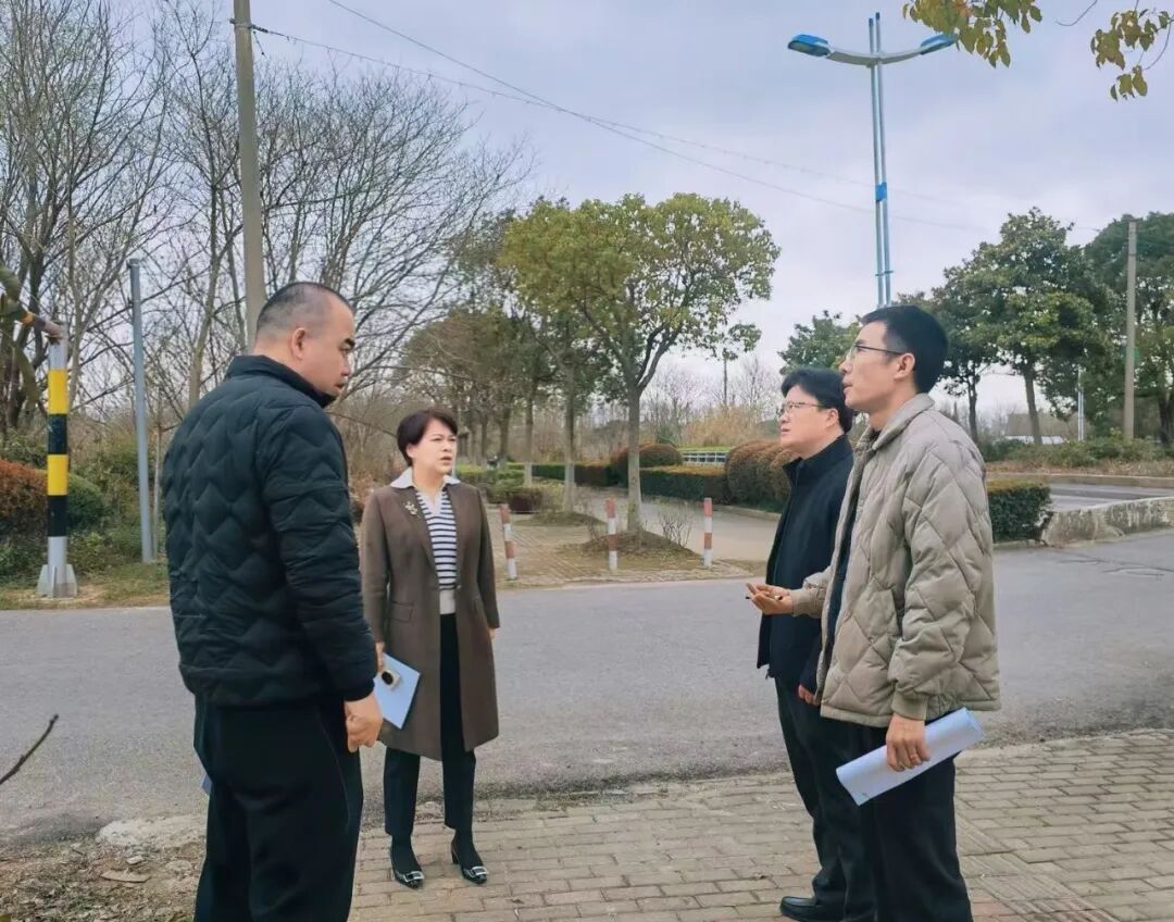 城桥镇主要领导带队检查市容环境整治情况